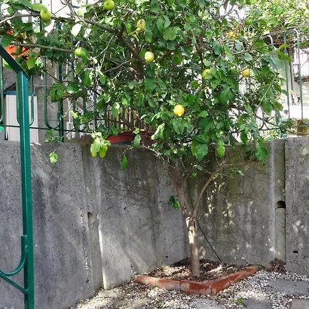 La Casa Dei Limoni Couette-café 3*