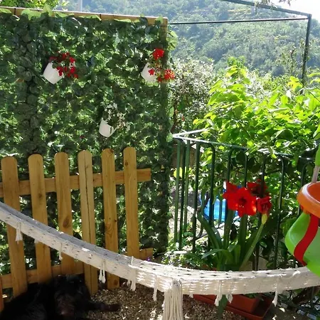 La Casa Dei Limoni Couette-café