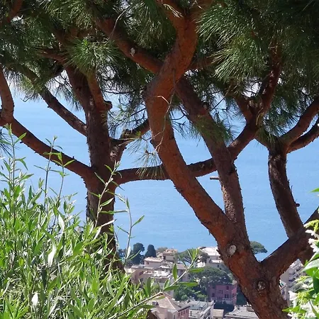 La Casa Dei Limoni 3* ג'נובה