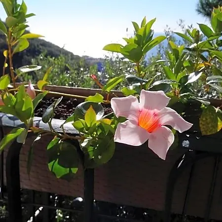 La Casa Dei Limoni 3*