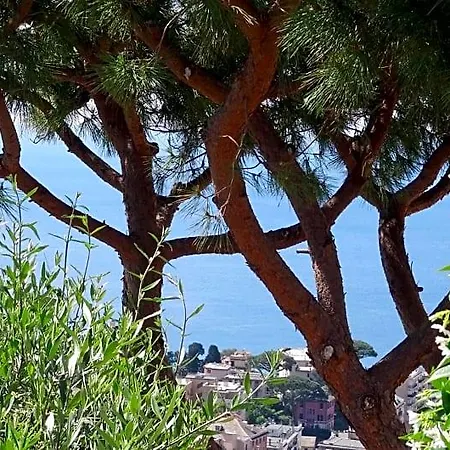 La Casa Dei Limoni 3*