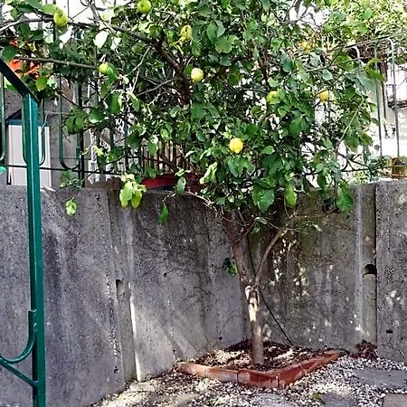 Bed & Breakfast La Casa Dei Limoni 3*