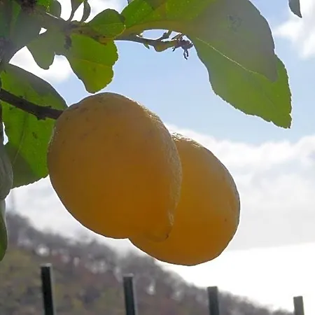 La Casa Dei Limoni 3*