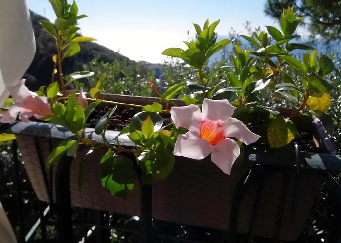 Bed & Breakfast La Casa Dei Limoni