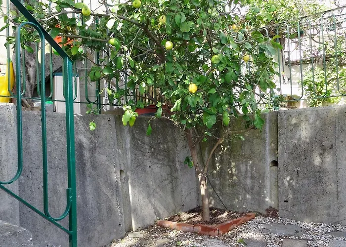 La Casa Dei Limoni Bed & Breakfast 3*