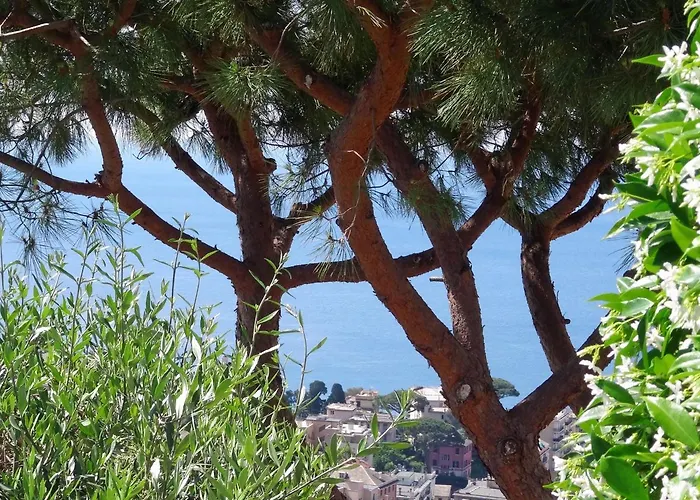 La Casa Dei Limoni 3* Genua