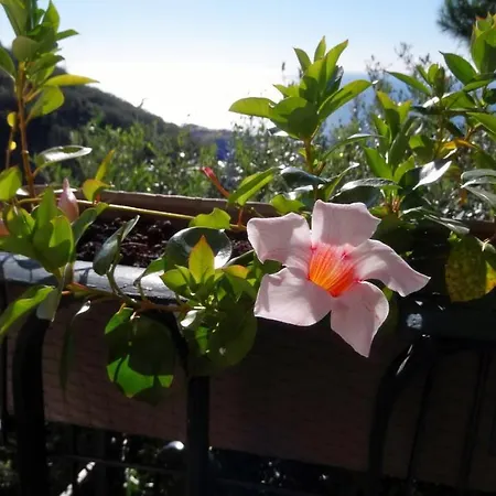 לינה וארוחת בוקר La Casa Dei Limoni