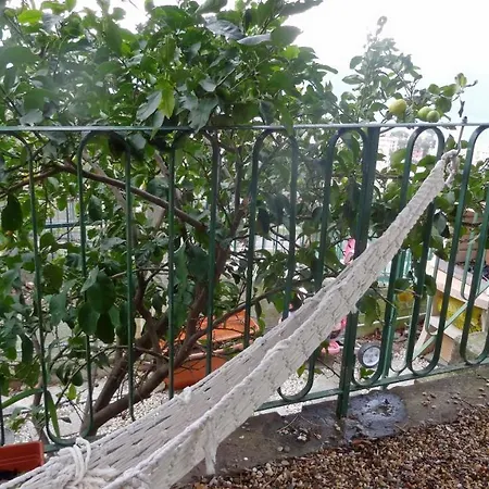 La Casa Dei Limoni לינה וארוחת בוקר